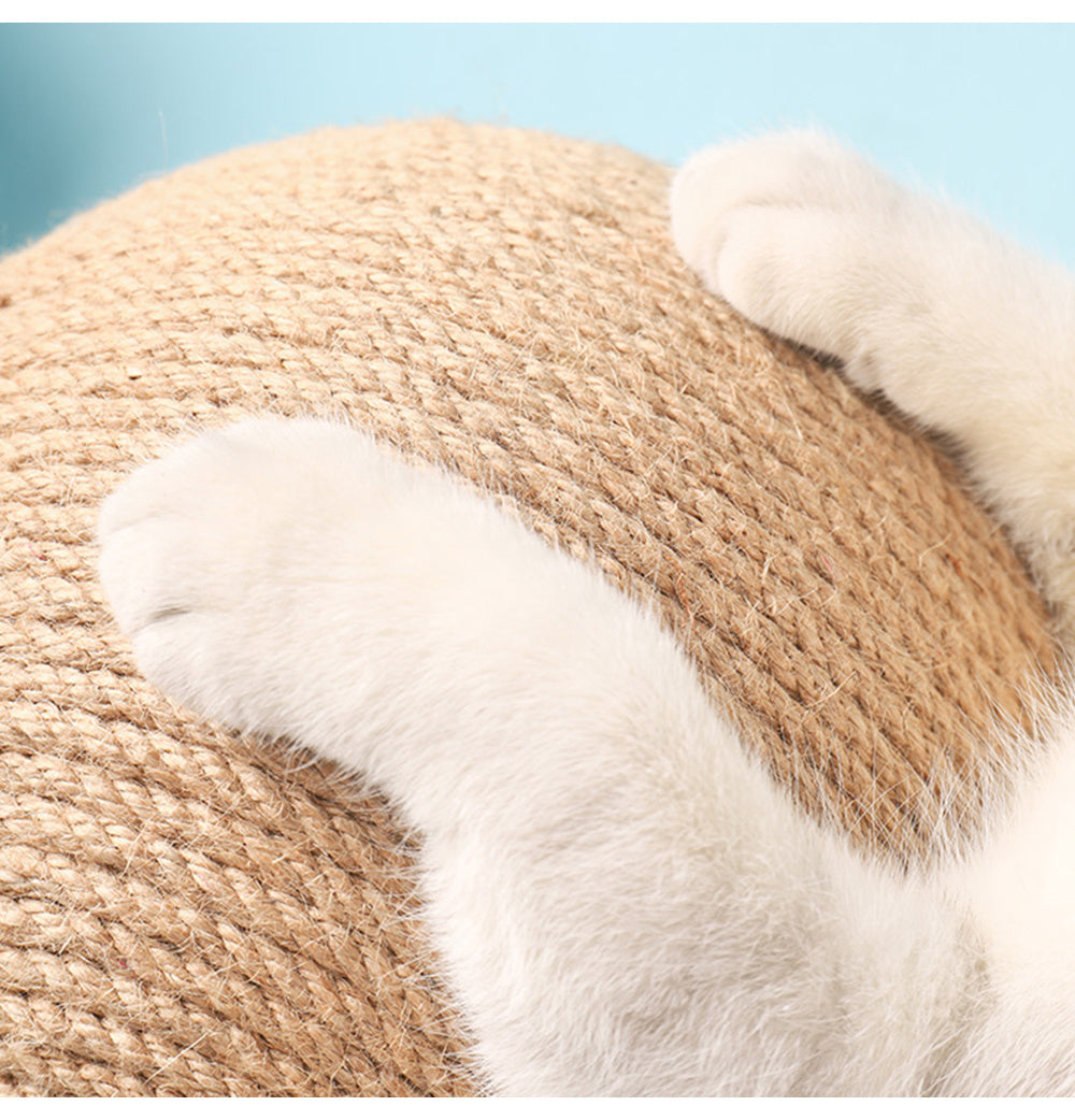 PawScratcho™ - Interactive Pet Toy