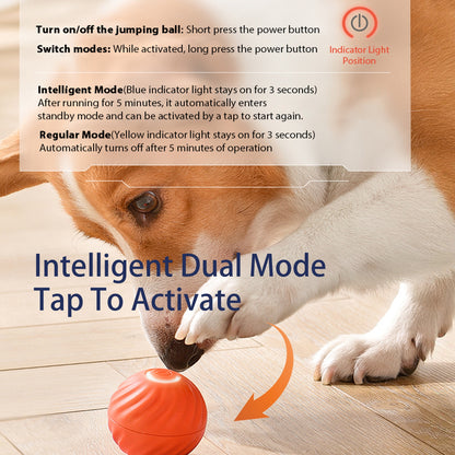 PawBounce™ - Interactive Pet Toy