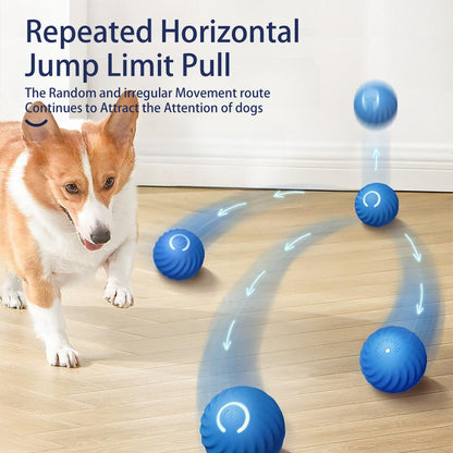 PawBounce™ - Interactive Pet Toy