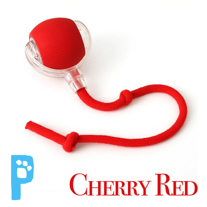 PawPop™ - Interactive Pet Toy