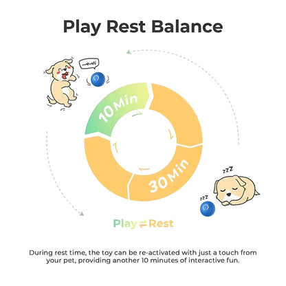 PawBounce™ - Interactive Pet Toy