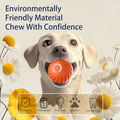 PawBounce™ - Interactive Pet Toy